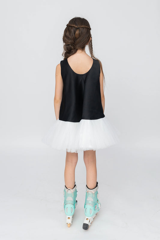 Black Swan Dress